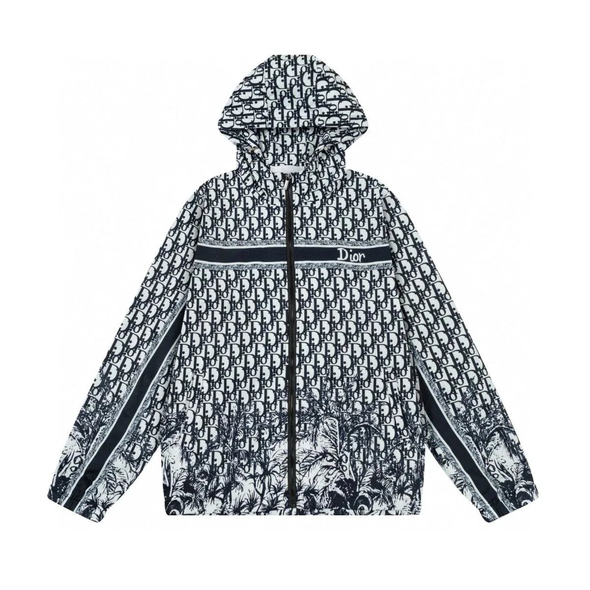 Dior 1