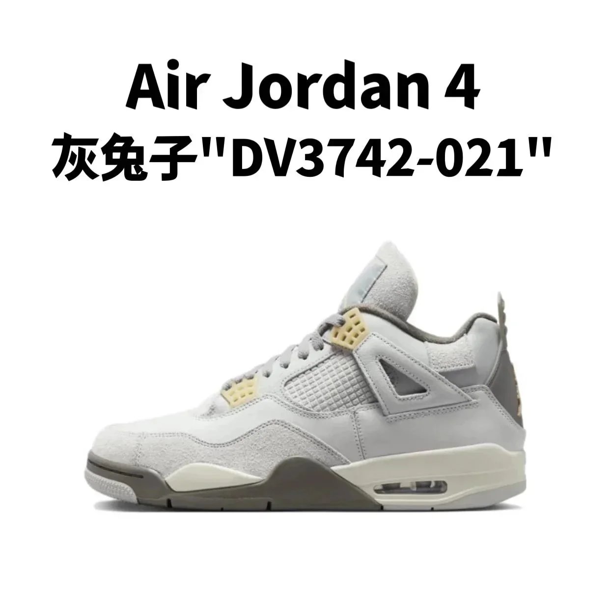 8.灰兔子