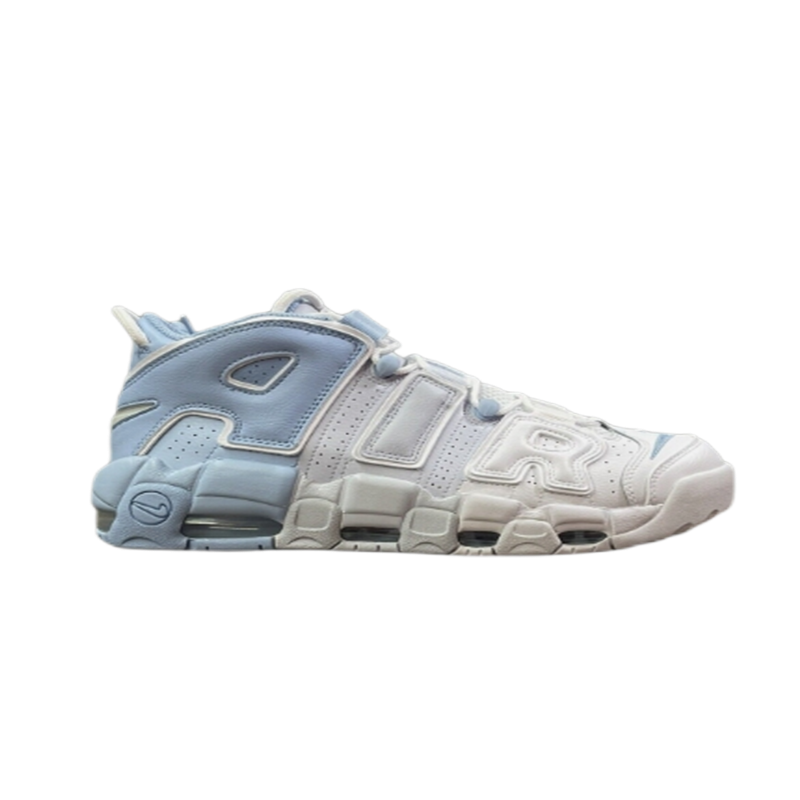FD9869-100