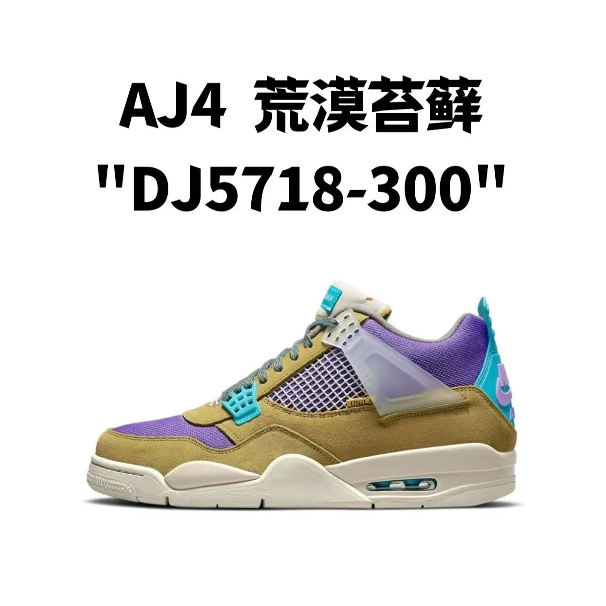 AJ4  荒漠苔藓