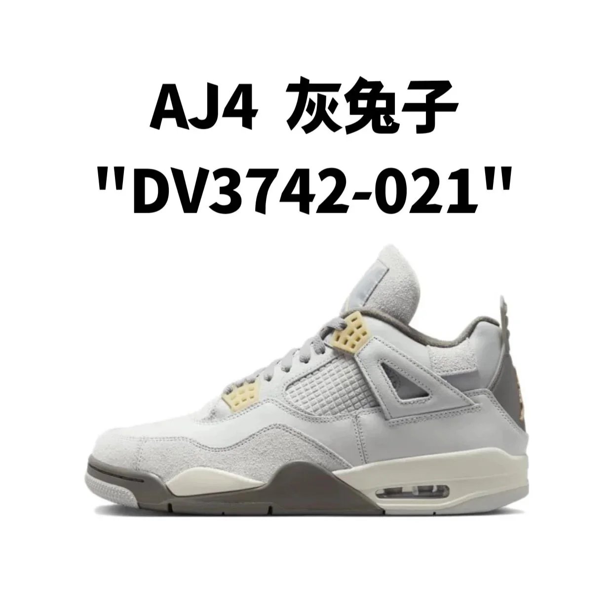 AJ4  灰兔子
