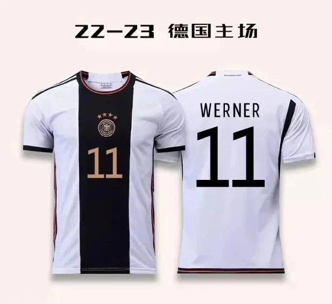 13韦尔纳