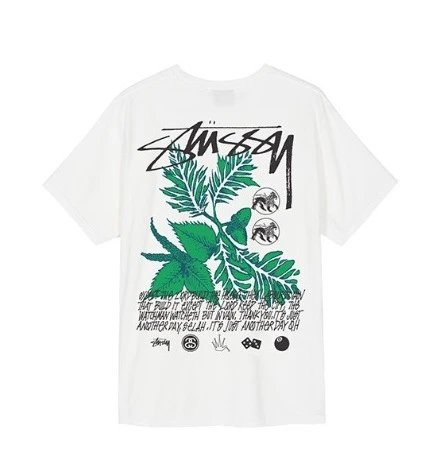 白色【绿草】