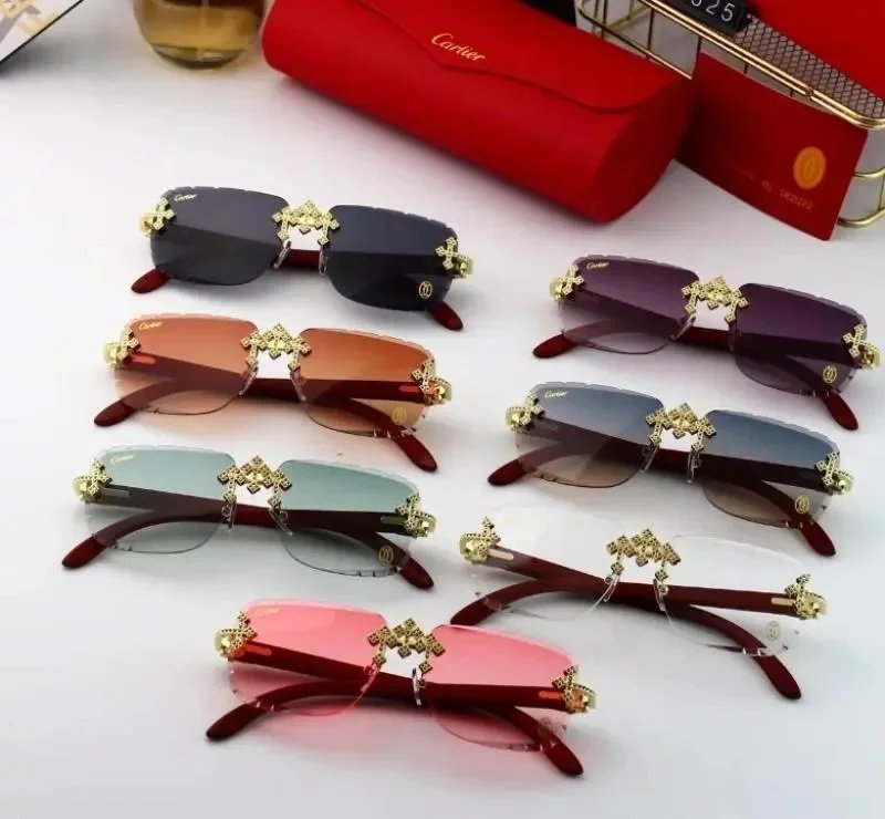 Cartier Sunglasses with Gold Decorative Hinges